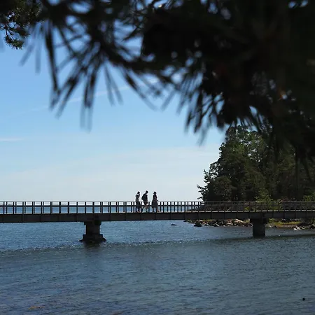 Kivisaari